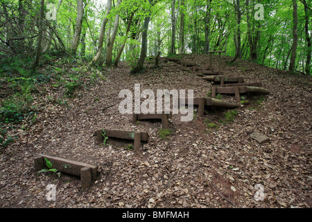 Priorat Woods, Brecon, Wales, UK Stockfoto
