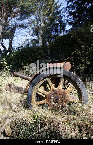 alte militärische Kanone verlassen im Feld Stockfoto