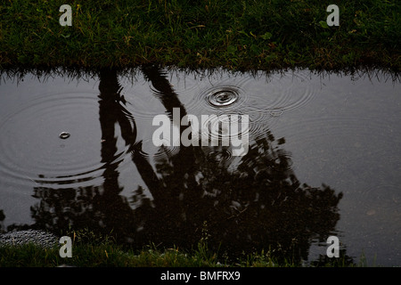 Regentropfen fallen auf eine Pfütze in der Abenddämmerung. Stockfoto