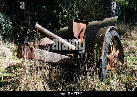 alte militärische Kanone verlassen im Feld Stockfoto