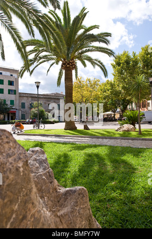 Park in der Altstadt von Alcudia auf Mallorca in Spanien Stockfoto