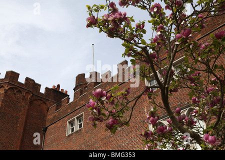 Szenen der traditionellen Teile des Hertford die wichtigste Stadt in Hertfordshire einschließlich Bulecoates Hof traditionellen Architektur Stockfoto