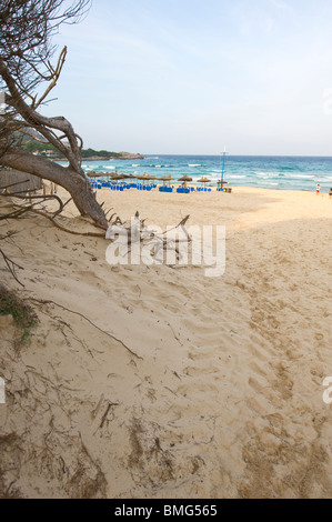 Der Strand von Agulla auf Mallorca in Spanien Stockfoto