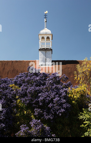 Cricket Pavillon Dach, 'University Parks', Oxford, England, UK Stockfoto