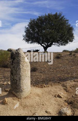 Miliario Romano, Provincia de Caceres. Extremadura, España. Römischer Meilenstein in Cáceres Provinz, Region Extremadura, Spanien Stockfoto