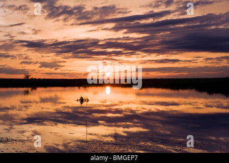 Sonnenaufgang auf der Los Novios Ranch - in der Nähe von Cotulla, Texas USA Stockfoto