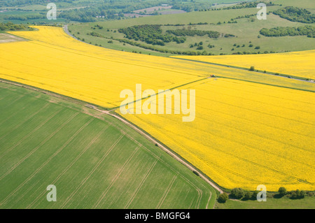 Luftaufnahme von Rapsöl wächst in der South Downs National Park, Sussex, England Stockfoto