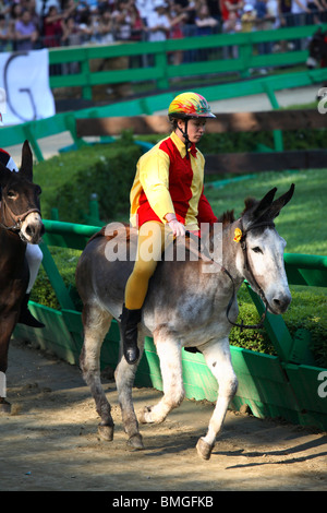 Eselrennen (Palio San Maurelio) im Palio di Ferrara, Italien Stockfoto