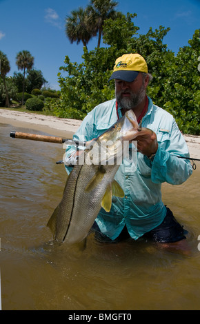 Inshore Angler hefts ein Riesen Snook gefangen in Florida Atlantic Intracoastal Waterway. Die Fische sind reichlich in der Indian River. Stockfoto