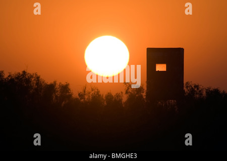 Jagd Blind in den Sonnenuntergang - Los Novios Ranch - in der Nähe von Cotulla, Texas USA Stockfoto