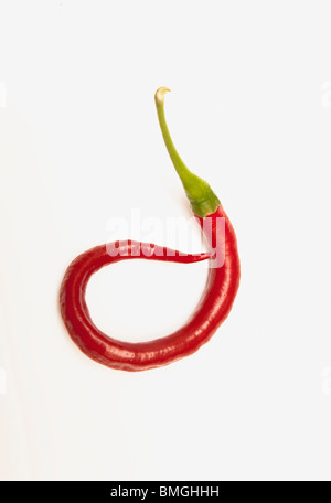 Eine rote Jalapenopfeffer, die gewellt hat Stockfoto