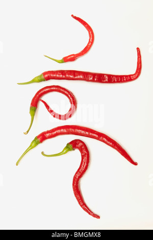 Fünf rote Jalapeno-Paprika, die in einzigartigen Formen gelockt haben Stockfoto