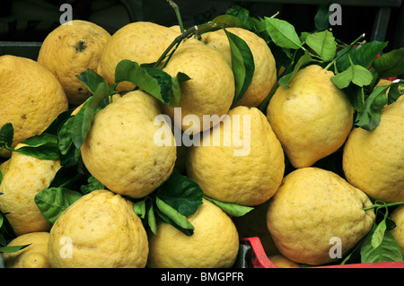 Zitronen, zum Verkauf auf dem Platz in Amalfi, Italien Stockfoto