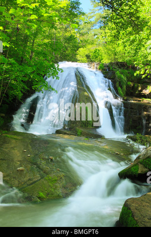 Roaring Run fällt, brüllend laufen Naherholungsgebiet, Eagle Rock, Virginia Stockfoto