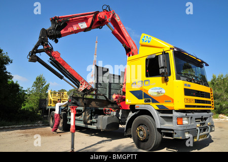 Israel, Carmel Bergwald, altem Baumbestand sind in den Wald für die Neubepflanzung gebracht. Stockfoto