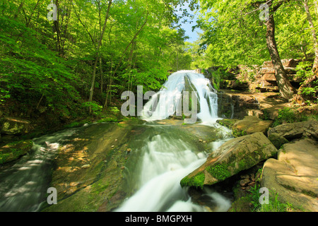 Roaring Run fällt, brüllend laufen Naherholungsgebiet, Eagle Rock, Virginia Stockfoto