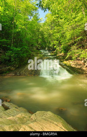 Roaring Run fällt, brüllend laufen Naherholungsgebiet, Eagle Rock, Virginia Stockfoto