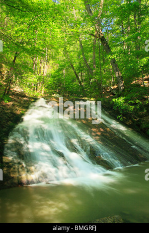 Roaring Run fällt, brüllend laufen Naherholungsgebiet, Eagle Rock, Virginia Stockfoto