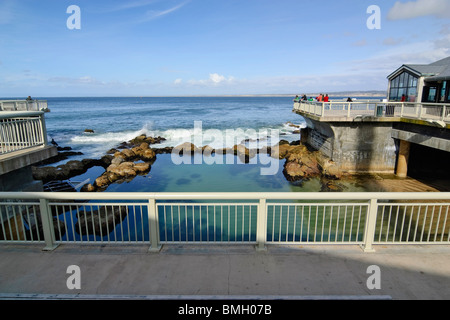 Außenansicht des Monterey Bay Aquariums entlang des Pazifischen Ozeans. Die große Flut Pool Amphitheater zu sehen. Stockfoto