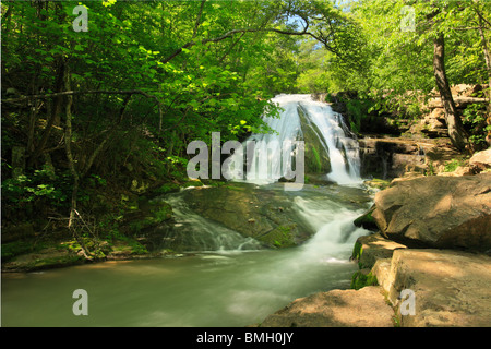 Roaring Run fällt, brüllend laufen Naherholungsgebiet, Eagle Rock, Virginia Stockfoto