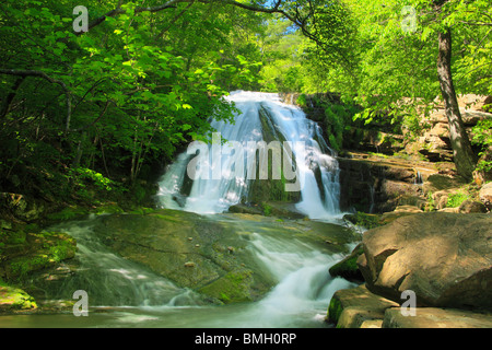 Roaring Run fällt, brüllend laufen Naherholungsgebiet, Eagle Rock, Virginia Stockfoto