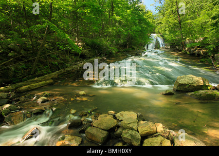 Roaring Run fällt, brüllend laufen Naherholungsgebiet, Eagle Rock, Virginia Stockfoto