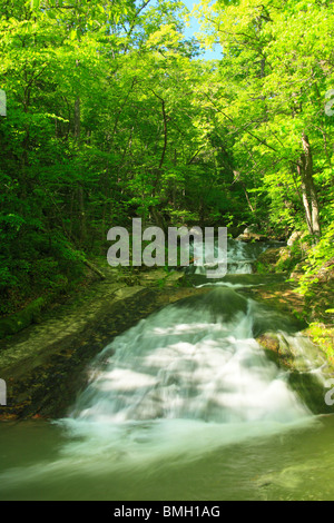 Roaring Run fällt, brüllend laufen Naherholungsgebiet, Eagle Rock, Virginia Stockfoto