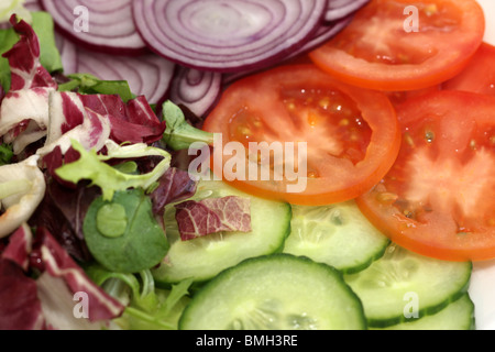 Frisch zubereitete Gesunde vegetarische Sommer Salat mit Tomaten Gurken rote Zwiebeln und verschiedene grüne Blätter mit Keine Personen Stockfoto