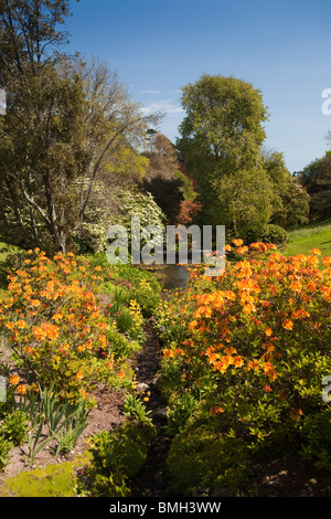 Großbritannien, England, Devon, Brixham, Coleton Fishacre Haus, Gärten im Frühsommer Stockfoto