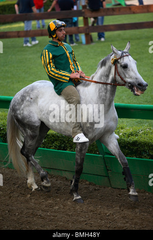 Pferderennen laufen am Palio Ferrara, Italien Stockfoto