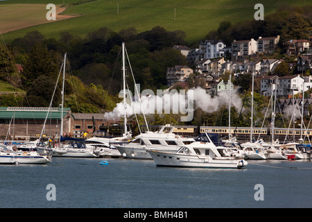 Großbritannien, England, Devon, Kingswear, Dampfzug entlang Fluss Dart Stockfoto