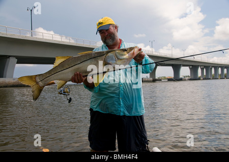 Inshore Angler hefts ein Riesen Snook gefangen in Florida Atlantic Intracoastal Waterway. Die Fische sind Brücken in der Indian River. Stockfoto