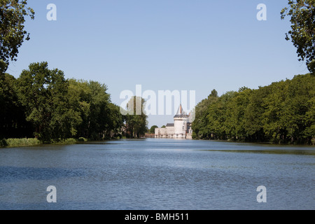 Foto von Schloss Sully-auf-Loire in der loiret Stockfoto