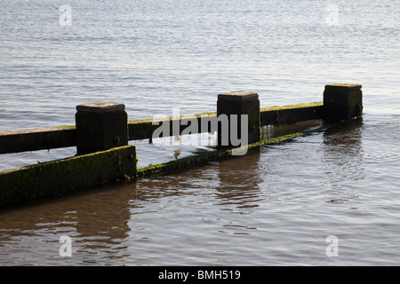 Hölzerne Buhnen, Wellenbrecher, bei Swanage auf einer ruhigen am frühen Morgen Stockfoto