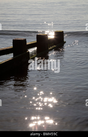 Hölzerne Buhnen, Wellenbrecher, bei Swanage auf einer ruhigen am frühen Morgen Stockfoto