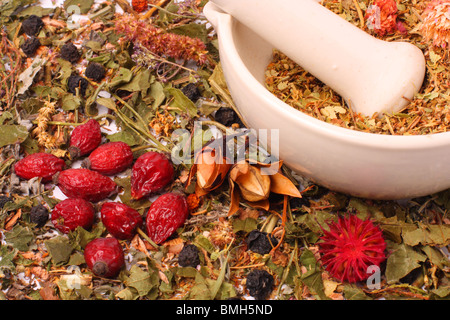 Marmor Mörser und Stößel mit trockenen Kräutern und Hüften Stockfoto