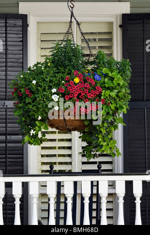 Hängenden Korb mit Blumen auf der Veranda des Hauses in Charleston, South Carolina Stockfoto