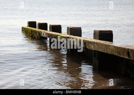 Hölzerne Buhnen, Wellenbrecher, bei Swanage auf einer ruhigen am frühen Morgen Stockfoto