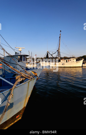 Abendlicht am Angelboote/Fischerboote am Shem Creek in Charleston County, South Carolina Stockfoto