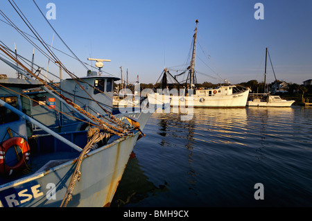 Abendlicht am Angelboote/Fischerboote am Shem Creek in Charleston County, South Carolina Stockfoto