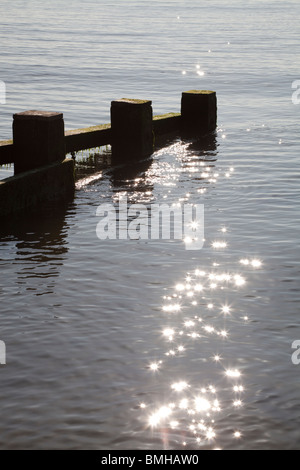 Hölzerne Buhnen, Wellenbrecher, bei Swanage auf einer ruhigen am frühen Morgen Stockfoto