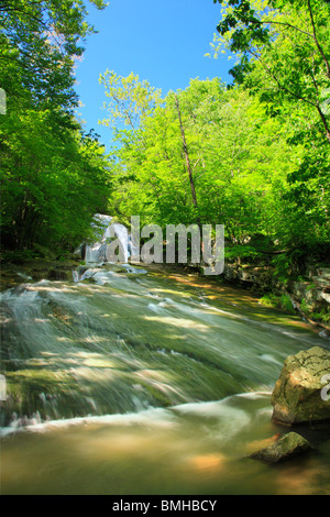 Roaring Run fällt, brüllend laufen Naherholungsgebiet, Eagle Rock, Virginia Stockfoto