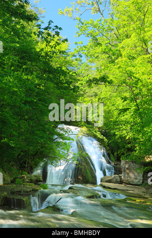 Roaring Run fällt, brüllend laufen Naherholungsgebiet, Eagle Rock, Virginia Stockfoto