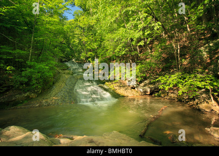 Roaring Run fällt, brüllend laufen Naherholungsgebiet, Eagle Rock, Virginia Stockfoto