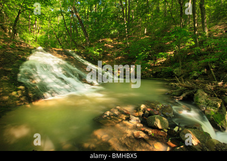 Roaring Run fällt, brüllend laufen Naherholungsgebiet, Eagle Rock, Virginia Stockfoto