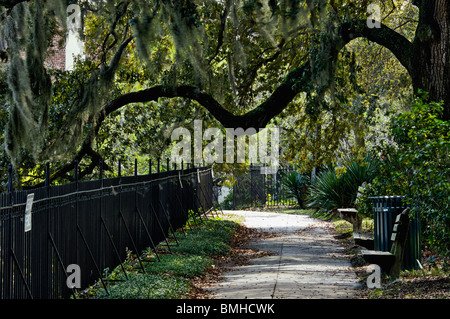 Gehweg in Emmet Park in Savannah, Georgia Stockfoto