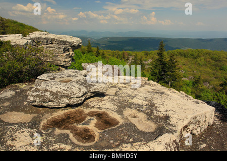 Bär-Felsen bewahren, Dolly Grassoden Wildnis, Hopeville, West Virginia Stockfoto