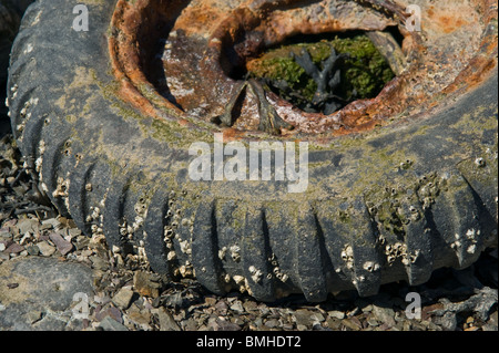 Eine alte Rad und Reifen angespült am Ufer. Stockfoto