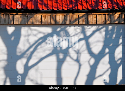 Schatten von Bäumen auf einem weiß lackierten Garagentor. Stockfoto