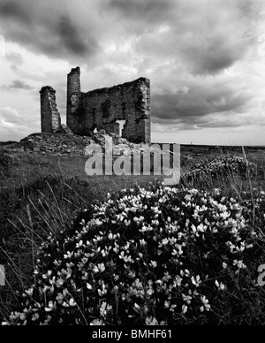 Die Ruine der Neuen Phoenix Mine Motor Haus auf Bodmin Moor an Schergen, Cornwall, England. Stockfoto